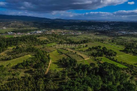 Helårsgrund i Coimbra, Coimbra, Coimbra - € 200.000 | Ref: C0372-01786 - foto 26