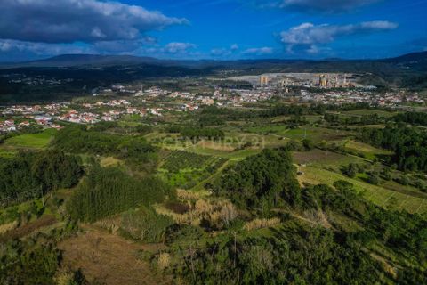 Helårsgrund i Coimbra, Coimbra, Coimbra - € 200.000 | Ref: C0372-01786 - foto 27
