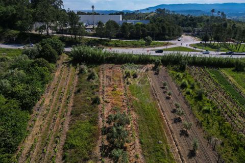 Helårsgrund i Coimbra, Coimbra, Coimbra - € 45.000 | Ref: C0372-01831 - foto 13