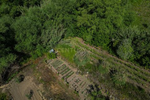 Helårsgrund i Coimbra, Coimbra, Coimbra - € 45.000 | Ref: C0372-01831 - foto 14