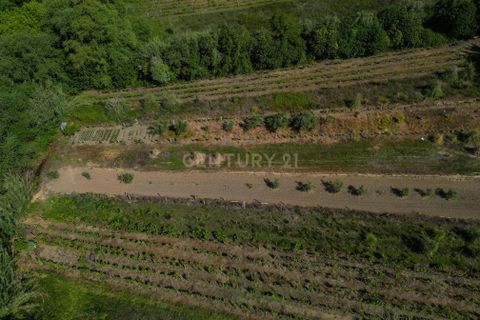 Helårsgrund i Coimbra, Coimbra, Coimbra - € 45.000 | Ref: C0372-01831 - foto 15