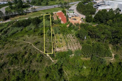 Helårsgrund i Coimbra, Coimbra, Coimbra - € 80.000 | Ref: C0372-01830 - foto 9