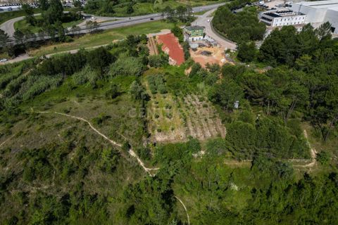 Helårsgrund i Coimbra, Coimbra, Coimbra - € 80.000 | Ref: C0372-01830 - foto 10