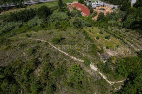 Helårsgrund i Coimbra, Coimbra, Coimbra - € 80.000 | Ref: C0372-01830 - foto 11