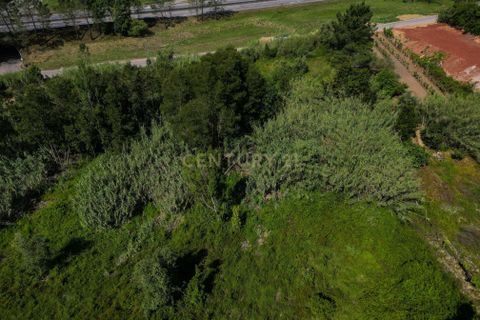 Helårsgrund i Coimbra, Coimbra, Coimbra - € 80.000 | Ref: C0372-01830 - foto 14