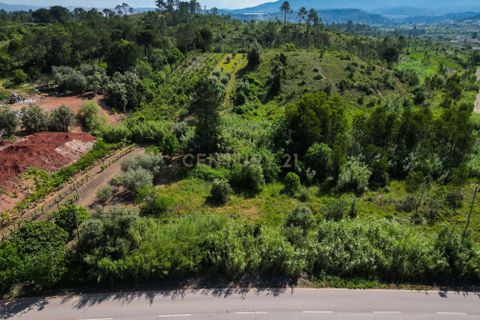 Helårsgrund i Coimbra, Coimbra, Coimbra - € 80.000 | Ref: C0372-01830 - foto 15