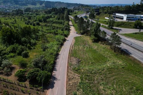 Helårsgrund i Coimbra, Coimbra, Coimbra - € 80.000 | Ref: C0372-01830 - foto 17