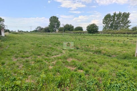 Villa i Oliveira do Bairro, Aveiro, Oliveira do Bairro - € 300.000 | Ref: 4107 - foto 1