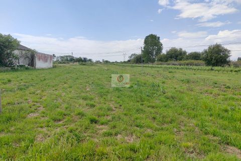 Villa i Oliveira do Bairro, Aveiro, Oliveira do Bairro - € 300.000 | Ref: 4107 - foto 2
