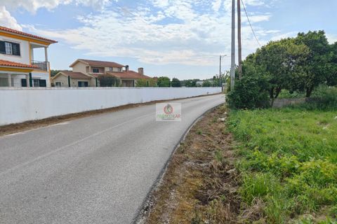 Villa i Oliveira do Bairro, Aveiro, Oliveira do Bairro - € 300.000 | Ref: 4107 - foto 3
