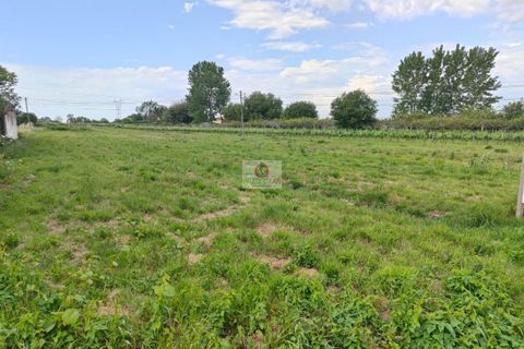 Villa i Oliveira do Bairro, Aveiro, Oliveira do Bairro - € 365.000 | Ref: 4108 - foto 2