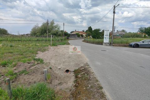 Villa i Oliveira do Bairro, Aveiro, Oliveira do Bairro - € 365.000 | Ref: 4108 - foto 5