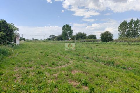 Villa i Oliveira do Bairro, Aveiro, Oliveira do Bairro - € 365.000 | Ref: 4108 - foto 6