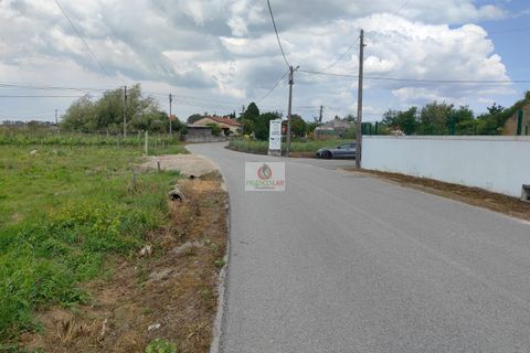 Villa i Oliveira do Bairro, Aveiro, Oliveira do Bairro - € 365.000 | Ref: 4108 - foto 7