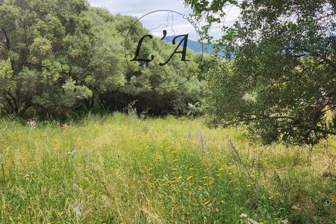 Tomt i Afa, Corse-du-Sud, Afa - € 190 000 | Ref: BONM00001AFA - foto 4