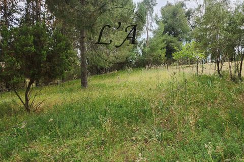 Tomt i Afa, Corse-du-Sud, Afa - € 190 000 | Ref: BONM00001AFA - foto 7