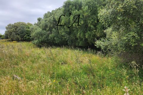 Tomt i Afa, Corse-du-Sud, Afa - € 190 000 | Ref: BONM00001AFA - foto 11
