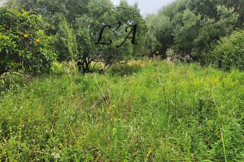 Tomt i Afa, Corse-du-Sud, Afa - € 190 000 | Ref: BONM00001AFA - foto 12