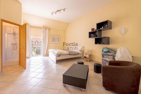 Farm hus i Gouvernes, Seine-et-Marne, Gouvernes - € 1.195.000 | Ref: 4240_HP - foto 30