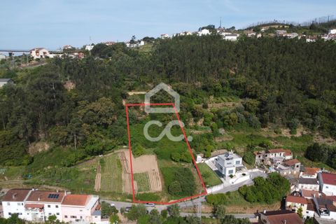 Helårsgrund i Coimbra, Coimbra, Coimbra - € 65.000 | Ref: 385/T/01038 - foto 2