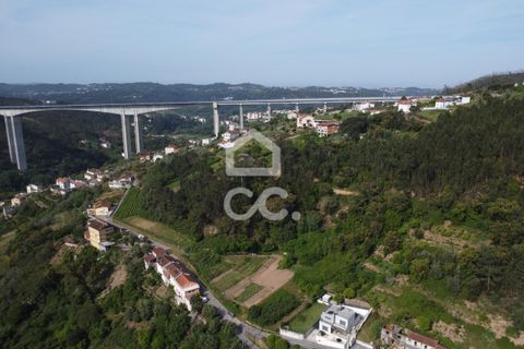 Helårsgrund i Coimbra, Coimbra, Coimbra - € 65.000 | Ref: 385/T/01038 - foto 8