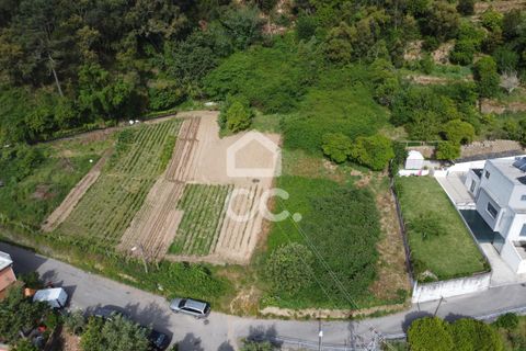 Helårsgrund i Coimbra, Coimbra, Coimbra - € 65.000 | Ref: 385/T/01038 - foto 14