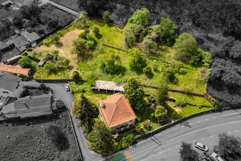 Villa i Ponte de Lima, Viana do Castelo, Ponte de Lima - € 355.000 | Ref: PTL-019-018 - foto 2