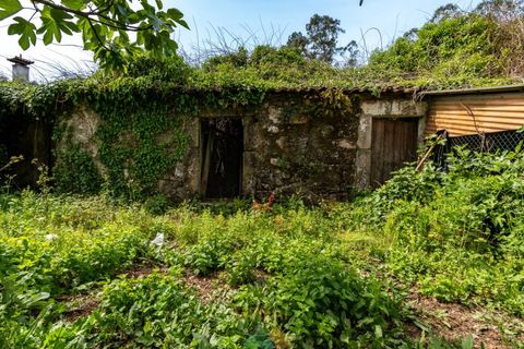 Villa i Ponte de Lima, Viana do Castelo, Ponte de Lima - € 355.000 | Ref: PTL-019-018 - foto 9
