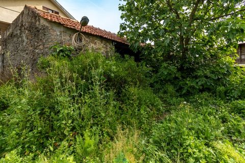 Villa i Ponte de Lima, Viana do Castelo, Ponte de Lima - € 355.000 | Ref: PTL-019-018 - foto 11