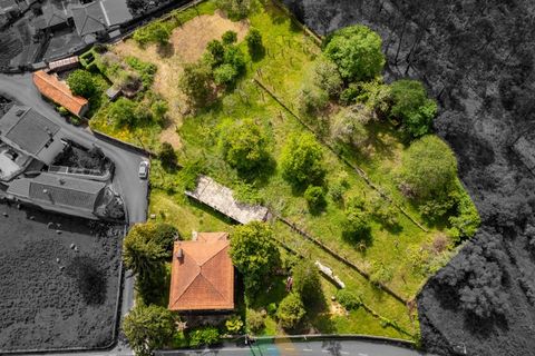 Villa i Ponte de Lima, Viana do Castelo, Ponte de Lima - € 355.000 | Ref: PTL-019-018 - foto 28