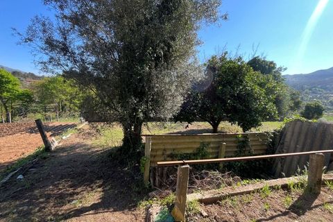 Villa i Ponte de Lima, Viana do Castelo, Ponte de Lima - € 199.000 | Ref: PTL-035-001 - foto 8