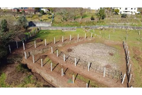 Helårsgrund i Arcos de Valdevez, Viana do Castelo, Arcos de Valdevez - € 12.500 | Ref: AVV-021-040 - foto 2