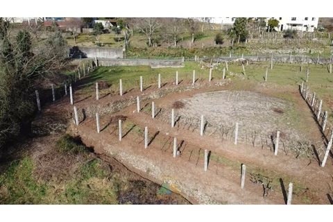 Helårsgrund i Arcos de Valdevez, Viana do Castelo, Arcos de Valdevez - € 12.500 | Ref: AVV-021-040 - foto 7