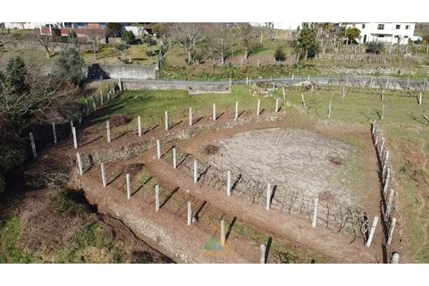 Helårsgrund i Arcos de Valdevez, Viana do Castelo, Arcos de Valdevez - € 12.500 | Ref: AVV-021-040 - foto 8