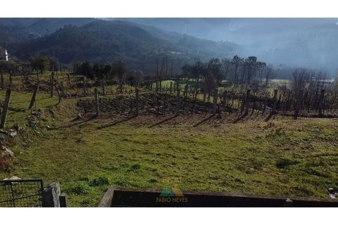 Helårsgrund i Arcos de Valdevez, Viana do Castelo, Arcos de Valdevez - € 12.500 | Ref: AVV-021-040 - foto 9