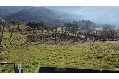 Helårsgrund i Arcos de Valdevez, Viana do Castelo, Arcos de Valdevez - € 12.500 | Ref: AVV-021-040 - foto 10