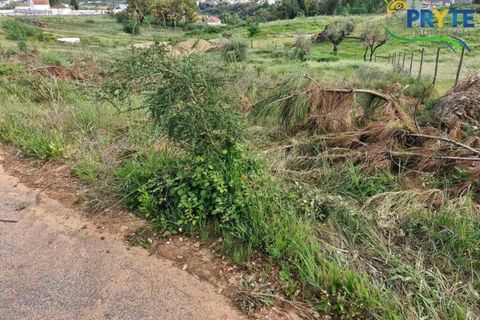 Helårsgrund i Serta, Castelo Branco, Serta - € 45.000 | Ref: AA343 - foto 2