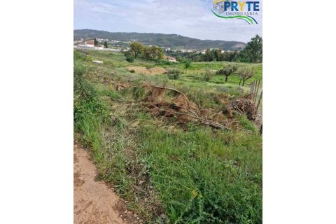 Helårsgrund i Serta, Castelo Branco, Serta - € 45.000 | Ref: AA343 - foto 3