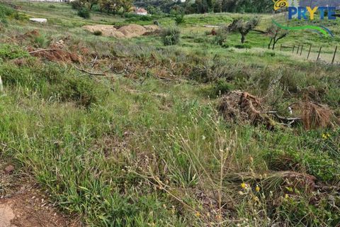 Helårsgrund i Serta, Castelo Branco, Serta - € 45.000 | Ref: AA343 - foto 4