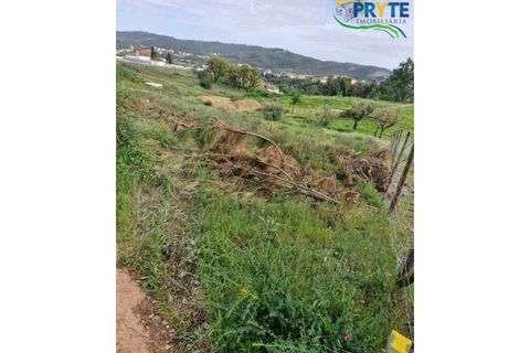 Helårsgrund i Serta, Castelo Branco, Serta - € 45.000 | Ref: AA343 - foto 5