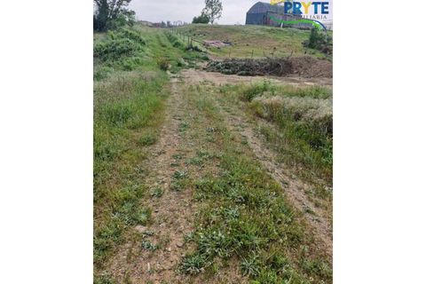 Helårsgrund i Serta, Castelo Branco, Serta - € 45.000 | Ref: AA343 - foto 6
