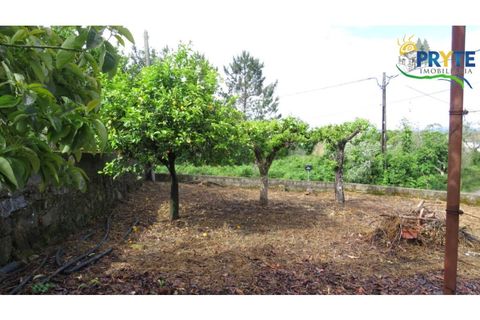 Villa i Serta, Castelo Branco, Serta - € 90.000 | Ref: SO24 - foto 22