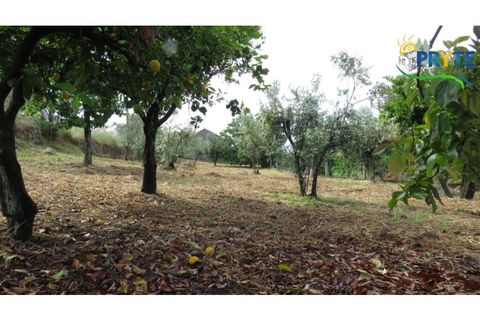 Villa i Serta, Castelo Branco, Serta - € 90.000 | Ref: SO24 - foto 24
