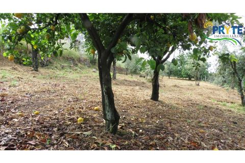 Villa i Serta, Castelo Branco, Serta - € 90.000 | Ref: SO24 - foto 25