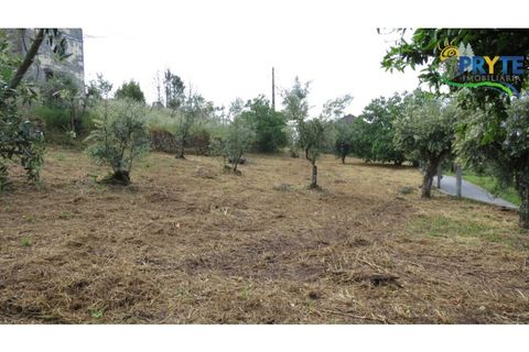 Villa i Serta, Castelo Branco, Serta - € 90.000 | Ref: SO24 - foto 26