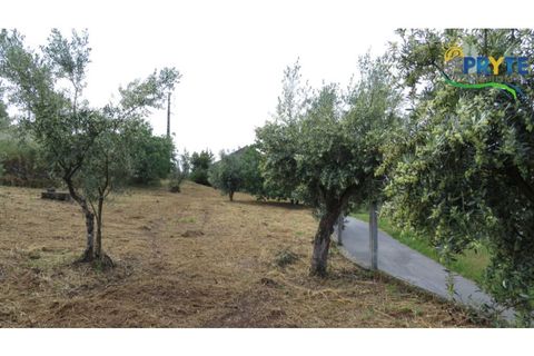 Villa i Serta, Castelo Branco, Serta - € 90.000 | Ref: SO24 - foto 27
