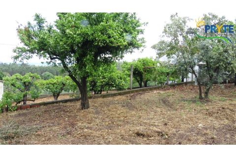 Villa i Serta, Castelo Branco, Serta - € 90.000 | Ref: SO24 - foto 28