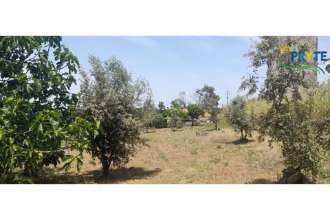 Villa i Serta, Castelo Branco, Serta - € 90.000 | Ref: SO24 - foto 30
