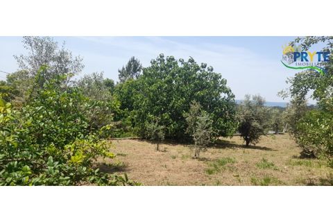Villa i Serta, Castelo Branco, Serta - € 90.000 | Ref: SO24 - foto 31