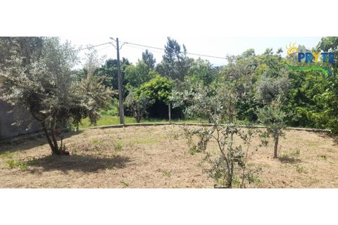 Villa i Serta, Castelo Branco, Serta - € 90.000 | Ref: SO24 - foto 32